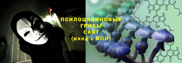 мяу мяу мука Баксан