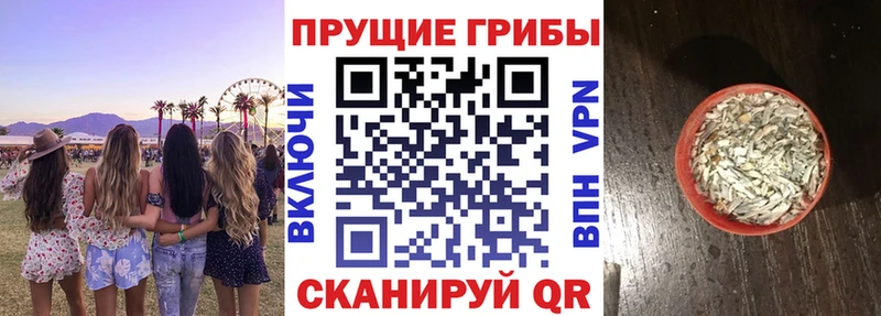 Псилоцибиновые грибы MAGIC MUSHROOMS  Белозерск 